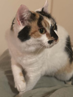 /album/265/whatsapp-image-2026-03-25-at-19-48-53-4-jpeg/